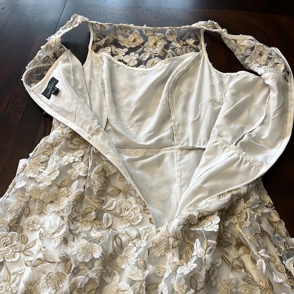 Adrianna Papell Floral Embroidered Crew Neck Fit and Flare Dress - Picture 16 of 17